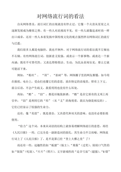 我对网络流行词的看法