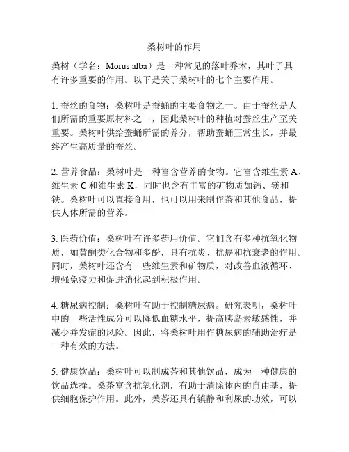 桑树叶的作用
