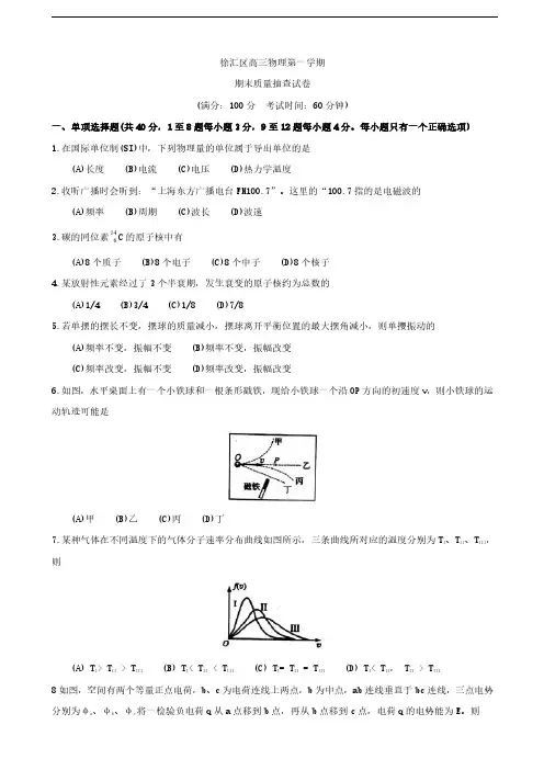 2019届上海市徐汇区高三上学期期末质量抽查(一模)物理试卷
