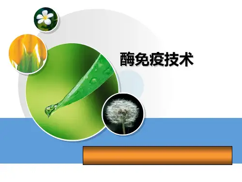 酶免疫技术