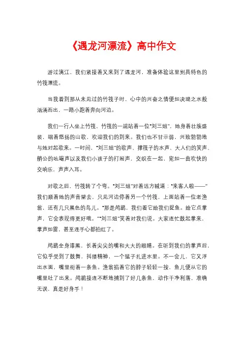 《遇龙河漂流》高中作文