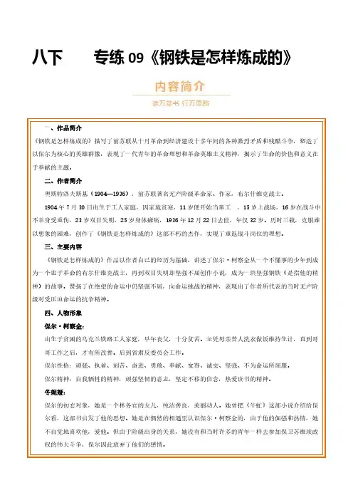 专题09 八下《钢铁是怎样炼成的》—2024年中考语文名著导读抢分练(解析版)