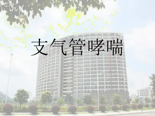 支气管哮喘基层指南PPT课件