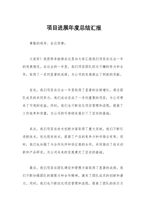 项目进展年度总结汇报