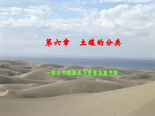 第六章 土壤分类
