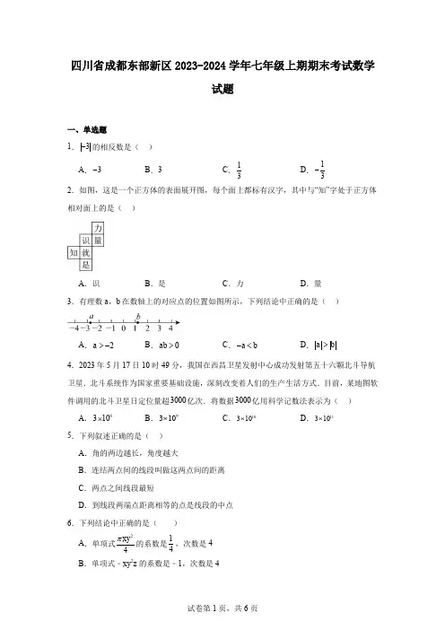 四川省成都东部新区2023-2024学年七年级上期期末考试数学试题