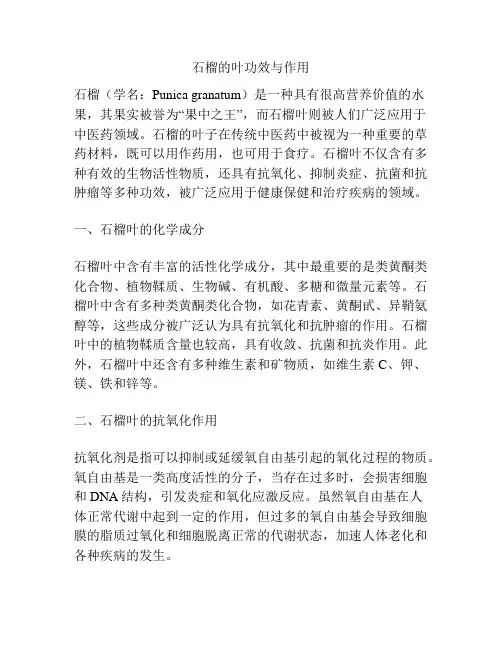 石榴的叶功效与作用