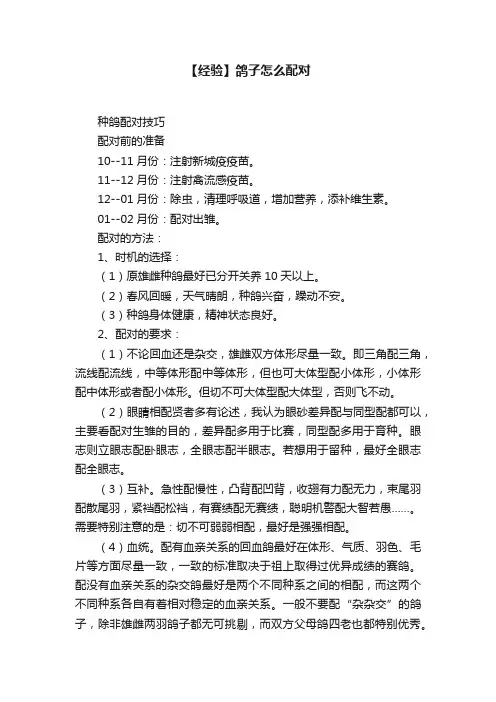 【经验】鸽子怎么配对