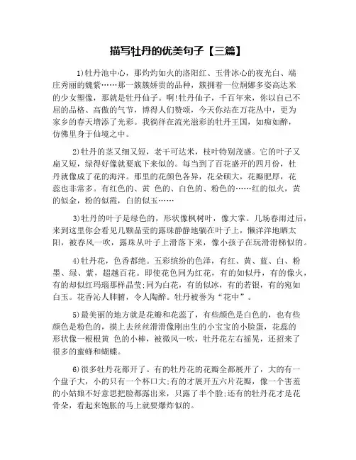 描写牡丹的优美句子【三篇】