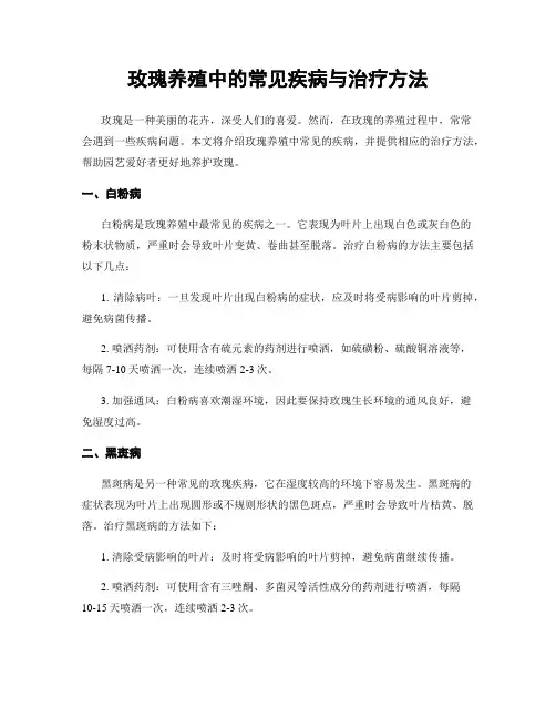 玫瑰养殖中的常见疾病与治疗方法