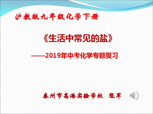 沪教版九年级下册化学《第3节 几种重要的盐 》(一等奖课件) (15)