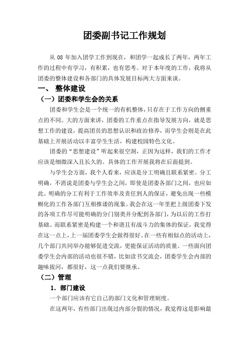 团委副书记工作规划