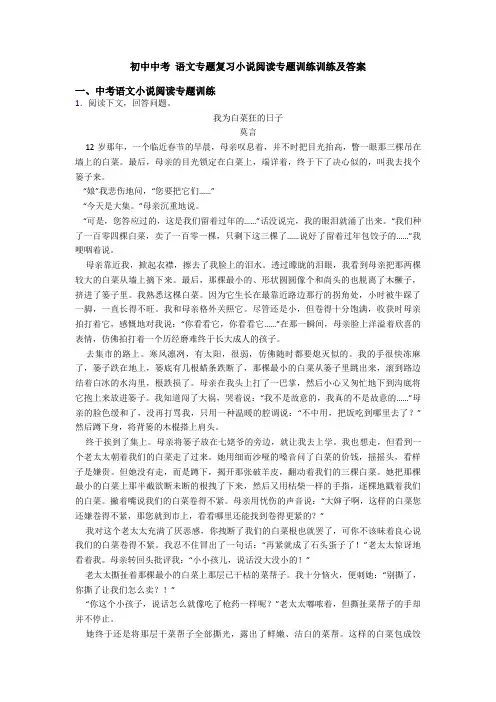 初中中考 语文专题复习小说阅读专题训练训练及答案