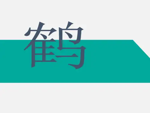 美术教案课件——鹤