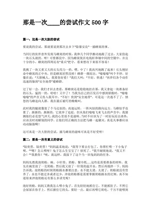 那是一次____的尝试作文