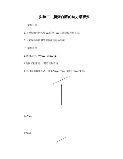 胰蛋白酶的动力学研究