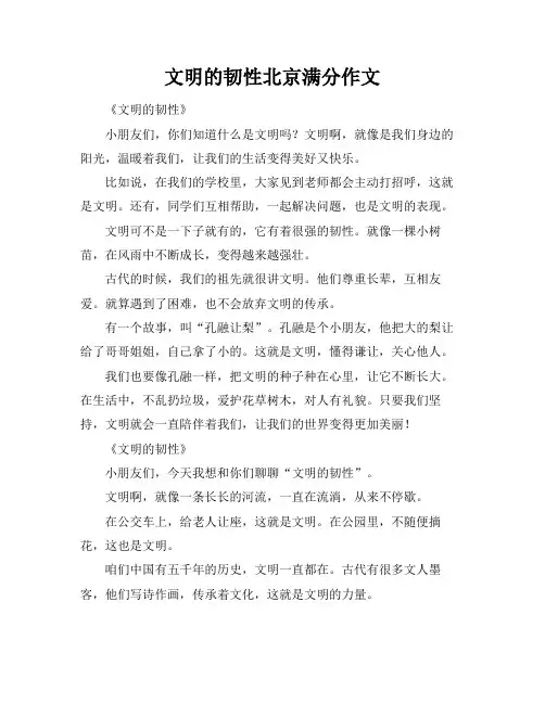 文明的韧性北京满分作文