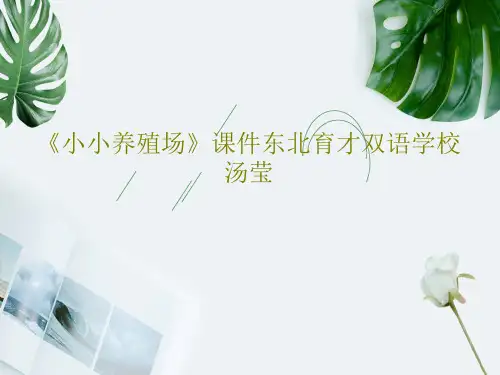 《小小养殖场》课件东北育才双语学校汤莹共21页