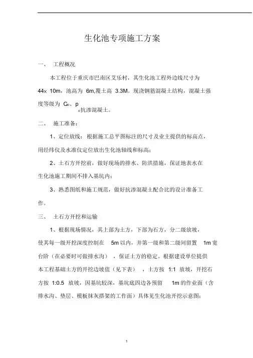 生化池专项施工方案