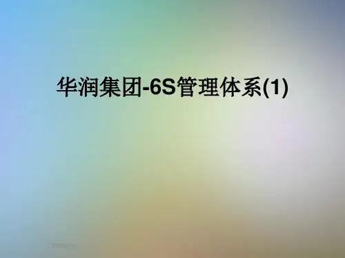 华润集团-6S管理体系(1)