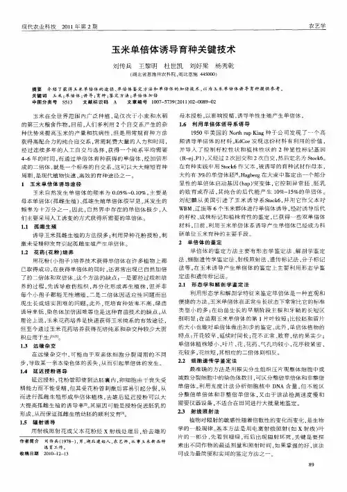 玉米单倍体诱导育种关键技术