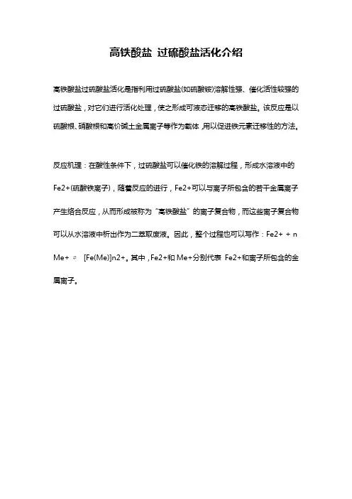 高铁酸盐 过硫酸盐活化