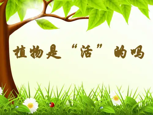 小学一年级科学教科版上册《植物是活的吗》课件