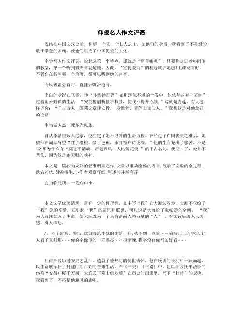 仰望名人作文评语