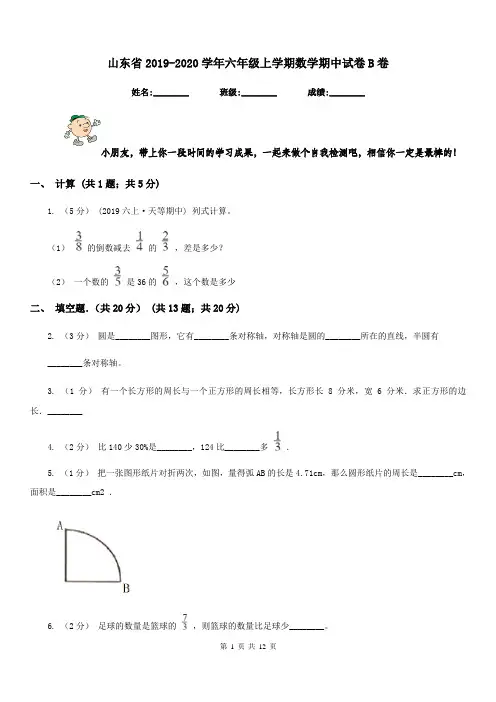山东省2019-2020学年六年级上学期数学期中试卷B卷