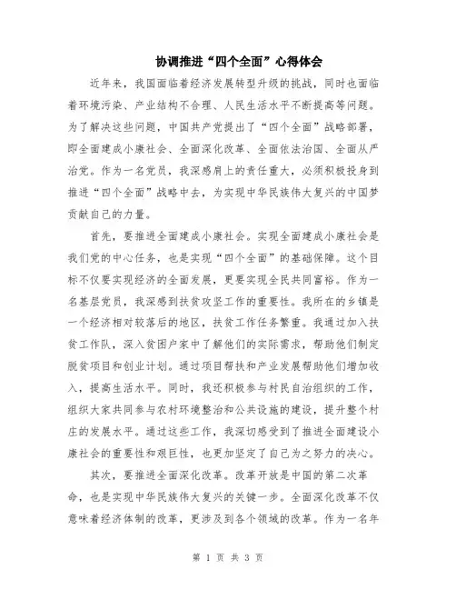 协调推进“四个全面”心得体会