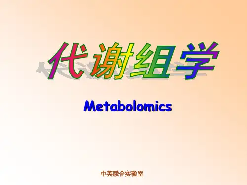 代谢组学.ppt