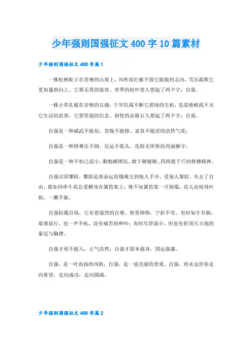 少年强则国强征文400字10篇素材
