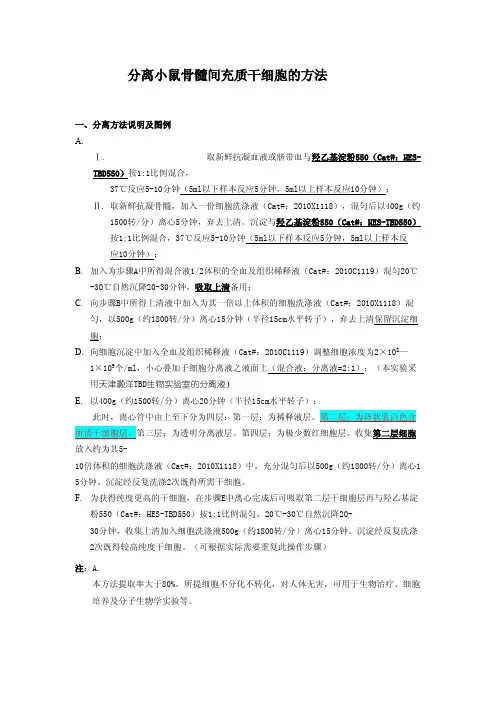 分离小鼠骨髓间充质干细胞的方法