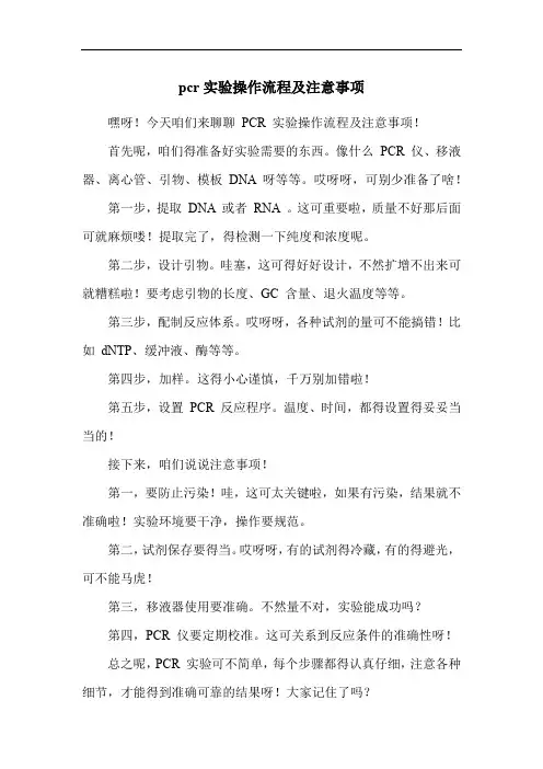 pcr实验操作流程及注意事项