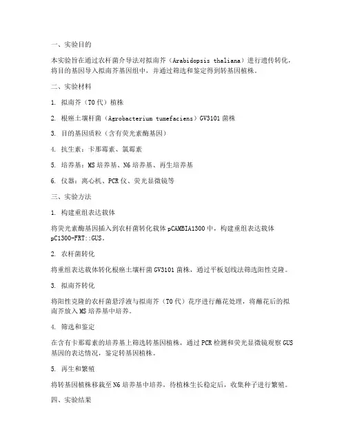 拟南芥遗传转化实验报告