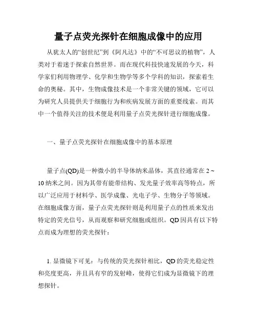 量子点荧光探针在细胞成像中的应用