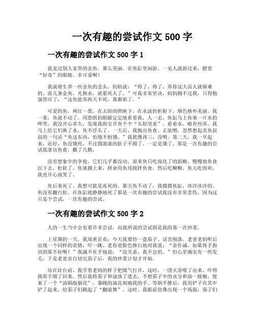 一次有趣的尝试作文500字