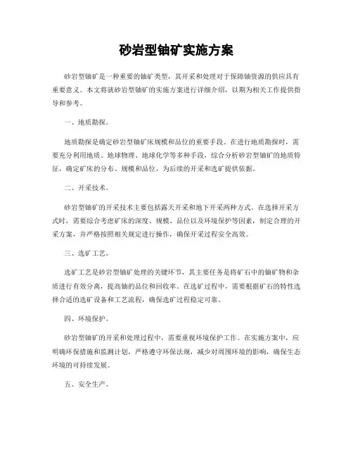 砂岩型铀矿实施方案