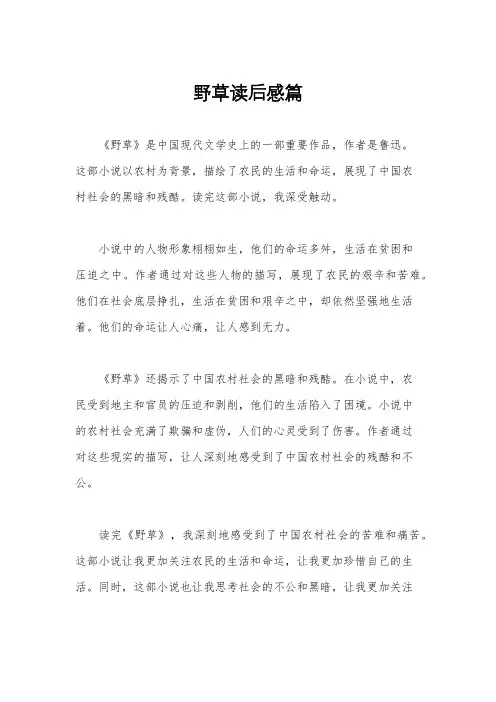野草读后感篇