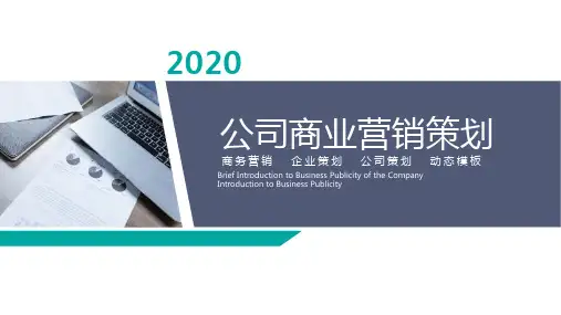 京东旗舰店双十一营销计划PPT