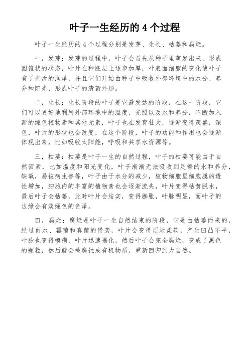 叶子一生经历的4个过程