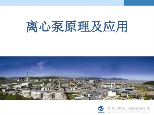 离心泵培训 课件