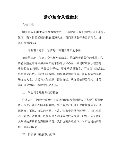爱护粮食从我做起