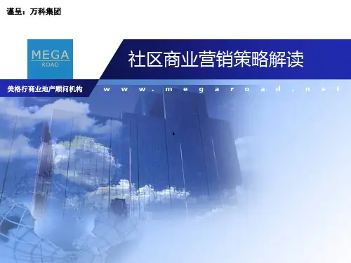 真叫卢俊分享社区商业营销策略解读