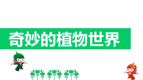 三年级上册综合实践活动课件- 奇妙的植物世界｜粤教版 