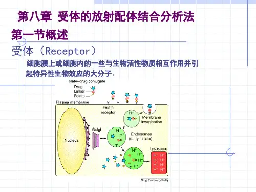 受体的放射配体结合分析法【58页】