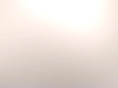 《早期国家的产生和发展》 