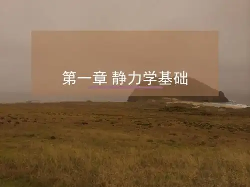 第一章 静力学基础