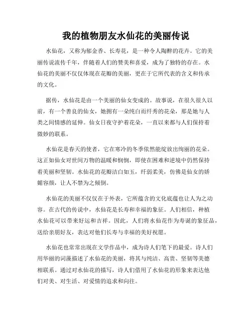 我的植物朋友水仙花的美丽传说