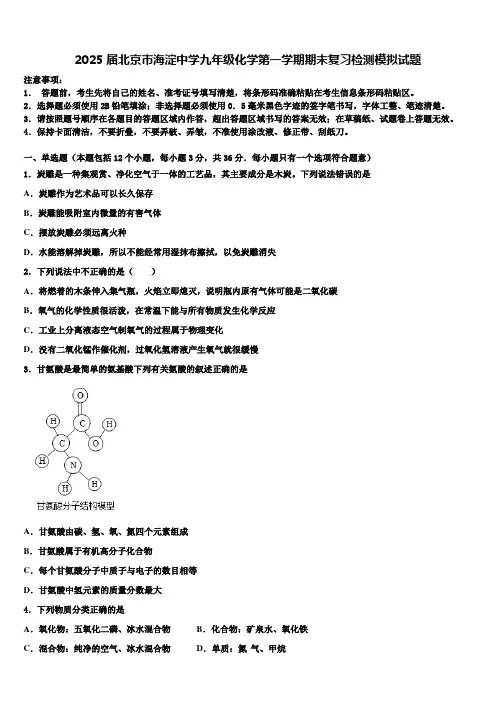 2025届北京市海淀中学九年级化学第一学期期末复习检测模拟试题含解析